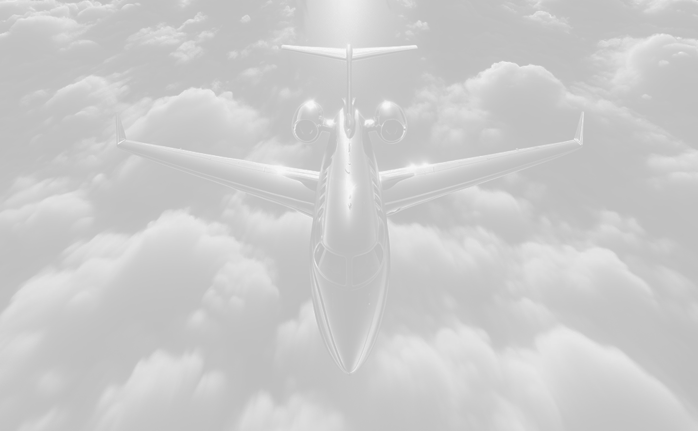 Why fly privately from - to Geneva?